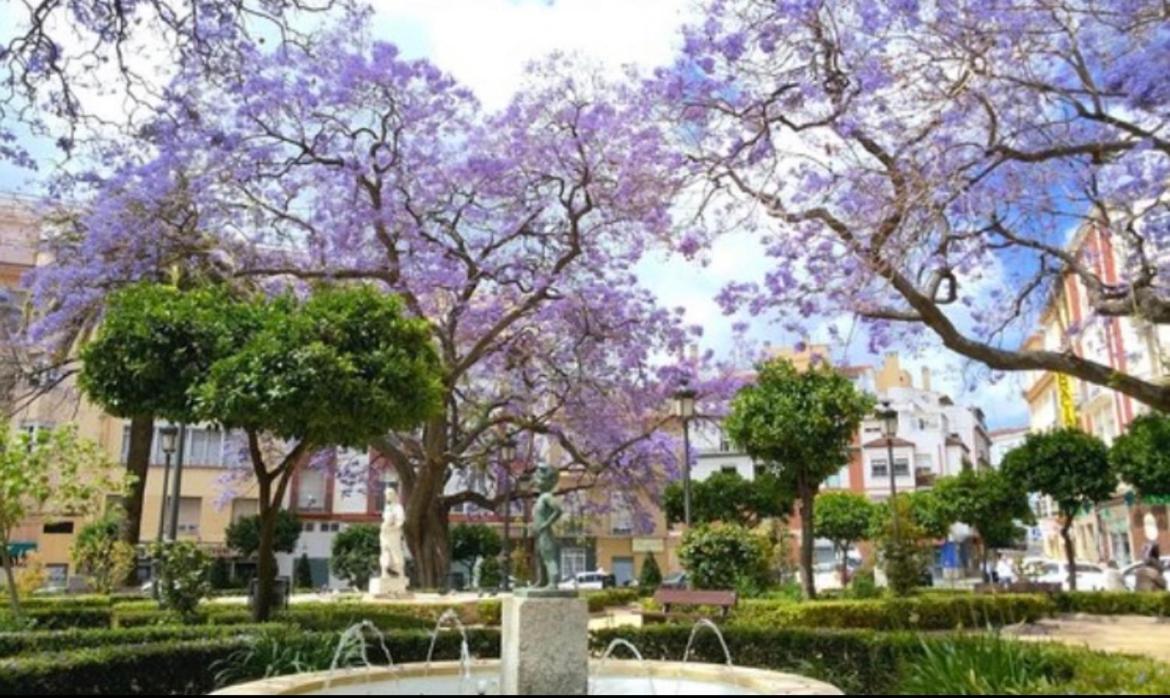 Historical Center Ollerias Leilighet Málaga Eksteriør bilde